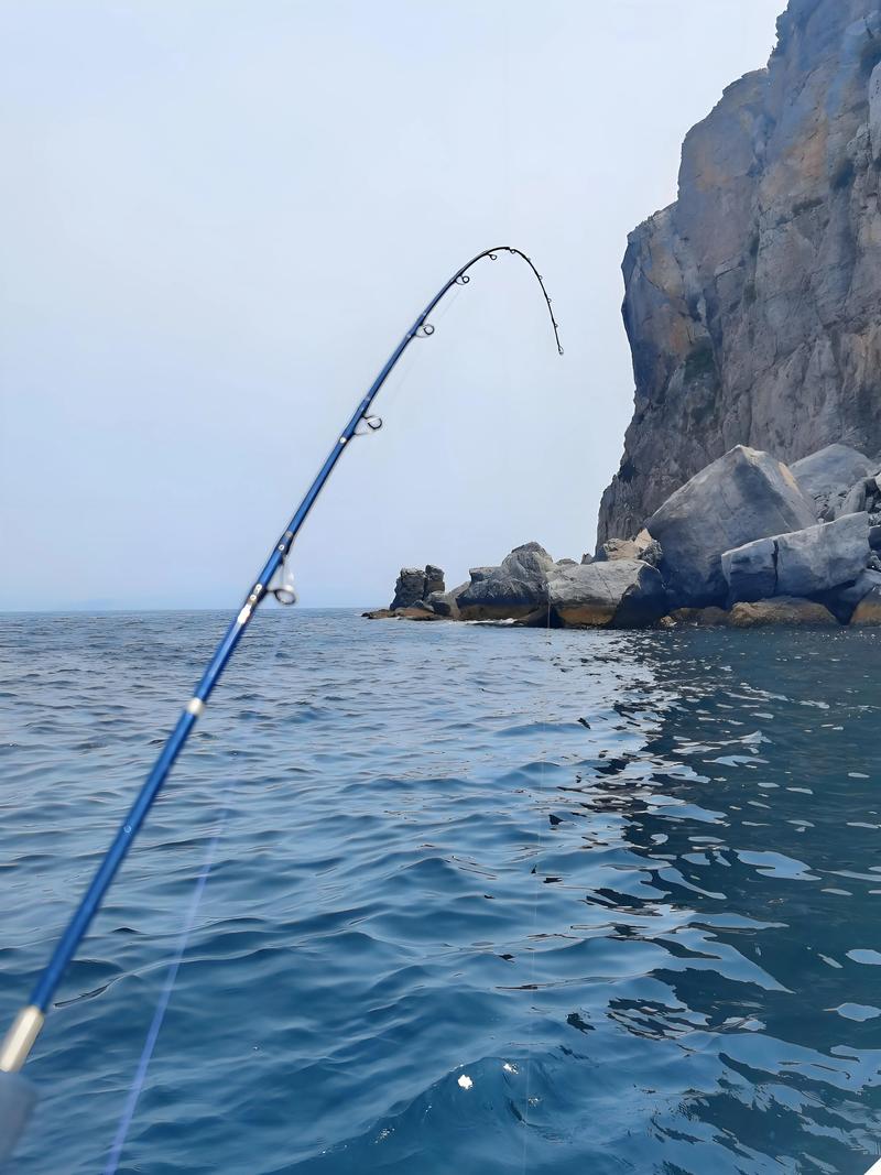海竿